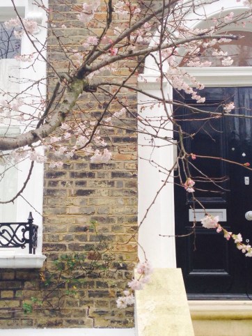 Spotted on my morning walk today. Spring is on its way!