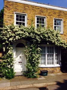 Enjoying the small things in life on a daily basis, such as beauty around us, adds colour to our lives 